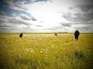 Kazachstan 2014_28